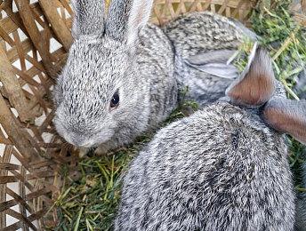 DICE：为《战地2042》的实时服务准备了秘密武器